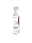Clean White Dry Shampoo Clean White Dry Shampoo