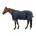 Turnout Rug Arctic, High Neck, Light