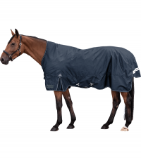 Turnout Rug Arctic, High Neck, Light