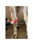 Excellent Horse Grooming Brush