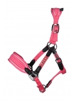 Head collar -Maui- for shetland ponies
