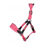 Head collar -Maui- for shetland ponies Head collar -Maui- for shetland ponies