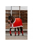 Halter + lanyard EQUITHÈME - Xmas Halter + lanyard EQUITHÈME - Xmas