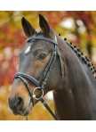 STAR Bridle Diamond