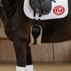 Horse Horse