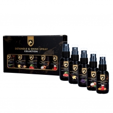 Detangle & Shine Spray Gift Set 5 x 50 ML