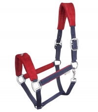 Halter Hellnar Icelandic