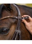 Shine Waldhausen X-Line browband, brown