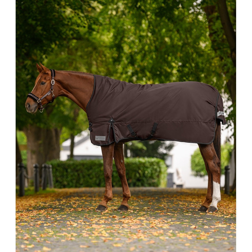 Turnout Rug Arctic, High Neck, 200 g Turnout Rug Arctic, High Neck, 200 g