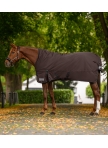 Turnout Rug Arctic, High Neck, 200 g Turnout Rug Arctic, High Neck, 200 g