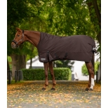 Turnout Rug Arctic, High Neck, 200 g