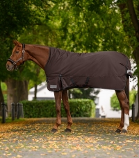 Turnout Rug Arctic, High Neck, 200 g