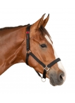 SAFETY Halter SAFETY Halter