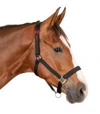 SAFETY Halter