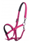 Foal Head Collar Millie