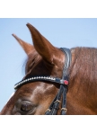 Snaffle Bridle Kieffer Lea