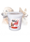 GelaCan Darling early nutrition for dogs