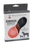 WALDHAUSEN