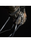 Double Bridle Ultrasoft® Amy Double Bridle Ultrasoft® Amy