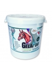 GelaPony Vitamin for horses GelaPony Vitamin for horses