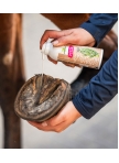 Bense & Eicke Frog and Hoof Spray