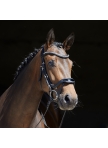 Bridle Softtech Line Anouk