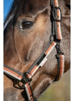 Halter Eskadron Girth Light Doublepin Platinum 26 Halter Eskadron Girth Light Doublepin Platinum 26