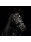 Bridle COMFORT PARIS