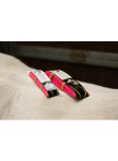 Excellent Horse Grooming Brush