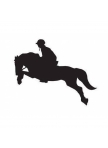 Sticker Show Jumper
