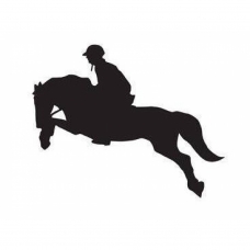 Sticker Show Jumper