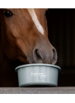 Small feeding bowl with lid
