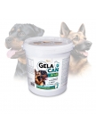 GelaCan Profi mineral nutrition for dogs