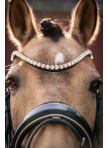 Bridle Limone Elegant, cob size