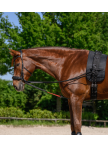 Lunging girth pad