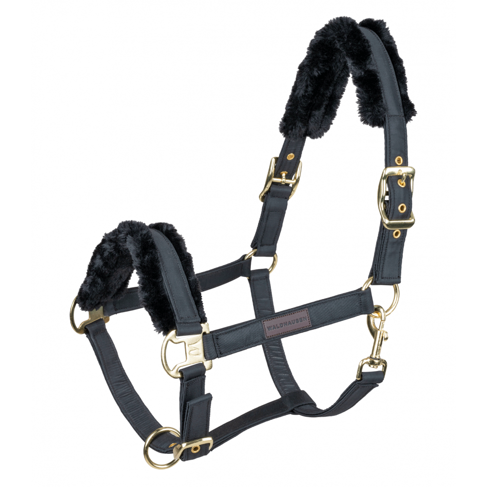 Halter Exclusive Halter Exclusive