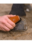 Hoof Brush HardWood