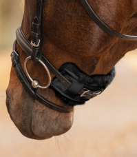 Horse Horse