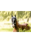 Fly mask Eskadron Core