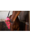 Hay Slow Feeder Fun & Flex Carrot