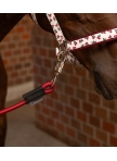 Elastic Tie-Up for Stall and Stable, 55 cm