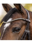 Shine Waldhausen X-Line browband, brown