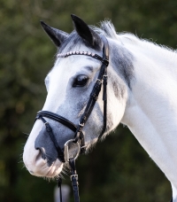 Happy Hearts snaffle bridle