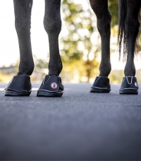 Horse Horse