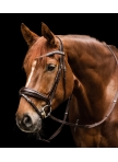 Waldhausen S-Line Essential Bridle