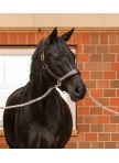 Tie chain, 90 cm