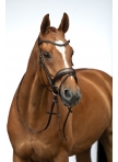 Bridle Ira Bridle Ira