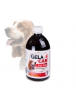 GelaCan Darling early nutrition for dogs