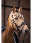 Bridle Limone Elegant, cob size