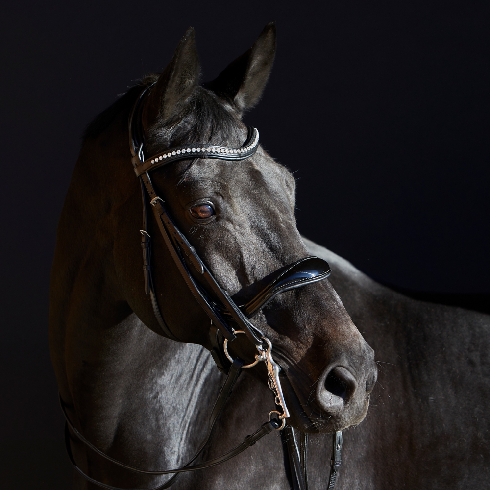 Double Bridle Ultrasoft® Amy Double Bridle Ultrasoft® Amy